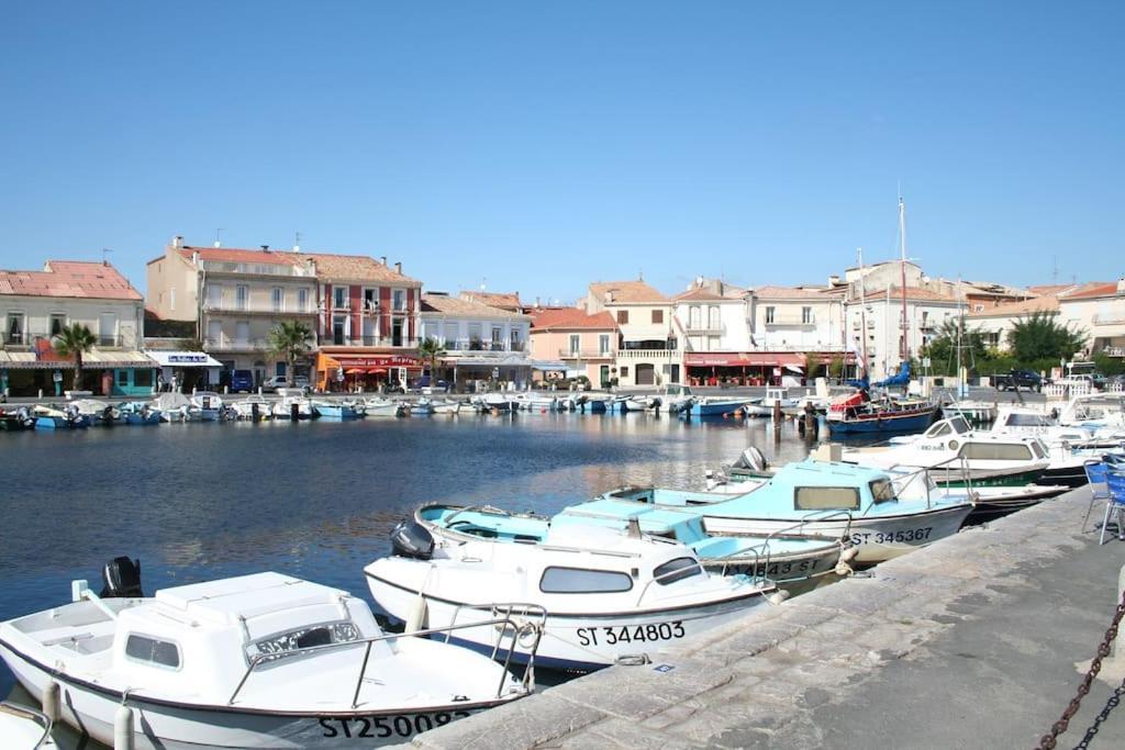 Appartement Cosy A 50 M De La Plage Et Du Port Mèze Dış mekan fotoğraf