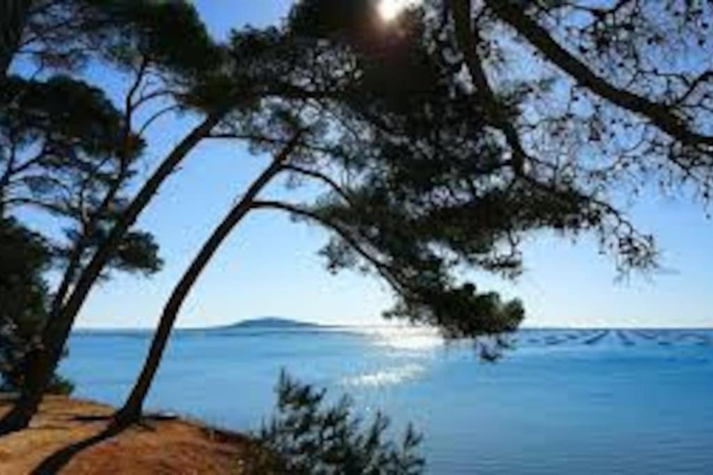 Appartement Cosy A 50 M De La Plage Et Du Port Mèze Dış mekan fotoğraf